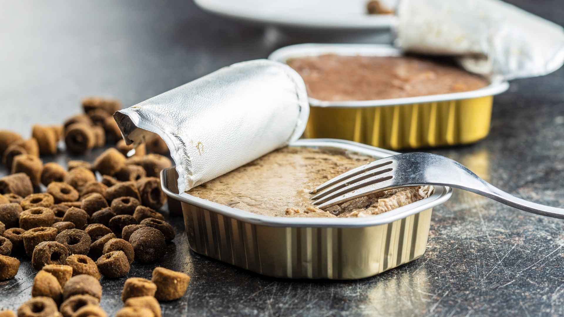 Pienso y comida húmeda para perros